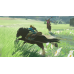 The Legend of Zelda Breath of the Wild (Switch, русская версия), 217915, Приключения/Экшн